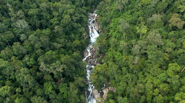 Transformer les Hôpitaux : L'Art au Service d'une Expérience Patient Épanouissante