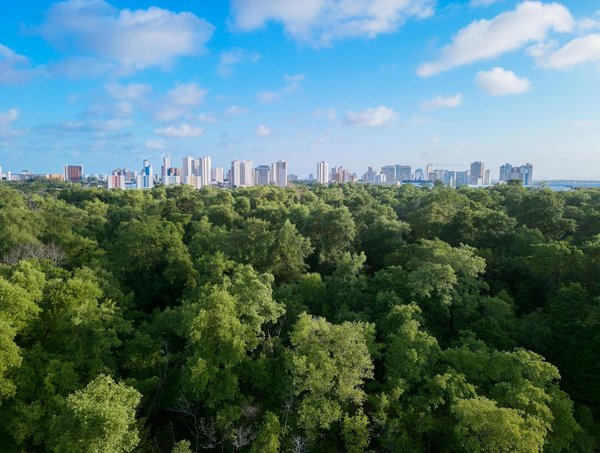 Rénovation d'ampleur : simplifiez votre projet solaire aujourd'hui